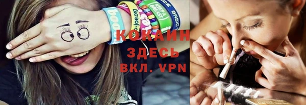 мяу мяу мука Новозыбков