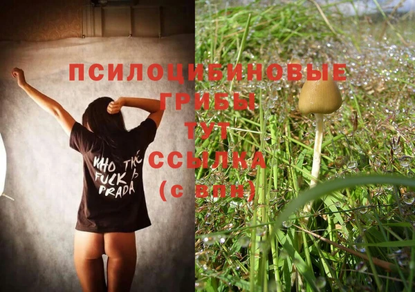 мяу мяу мука Новозыбков