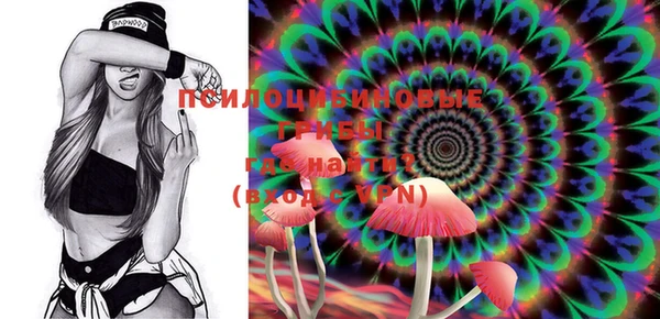 мяу мяу мука Новозыбков