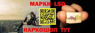 ПСИЛОЦИБИНОВЫЕ ГРИБЫ Гатчина