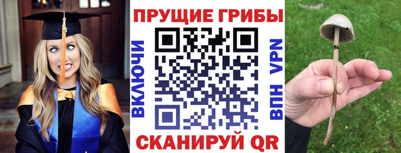 Псилоцибиновые грибы мухоморы Верхняя Салда