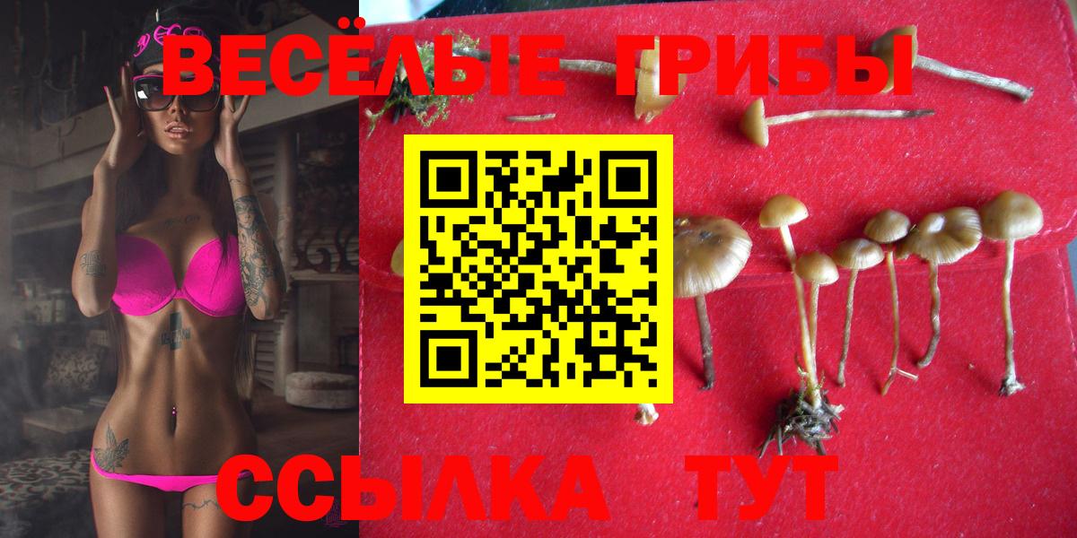 Псилоцибиновые грибы Psilocybine cubensis Верхняя Салда