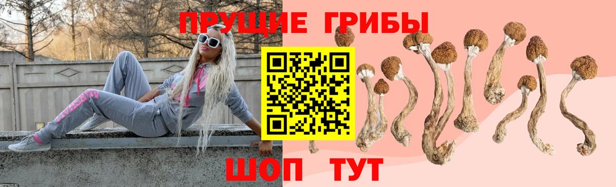 Галлюциногенные грибы MAGIC MUSHROOMS  купить закладку  Верхняя Салда 